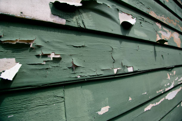Best Demolition Debris Removal  in Mississippi State, MS